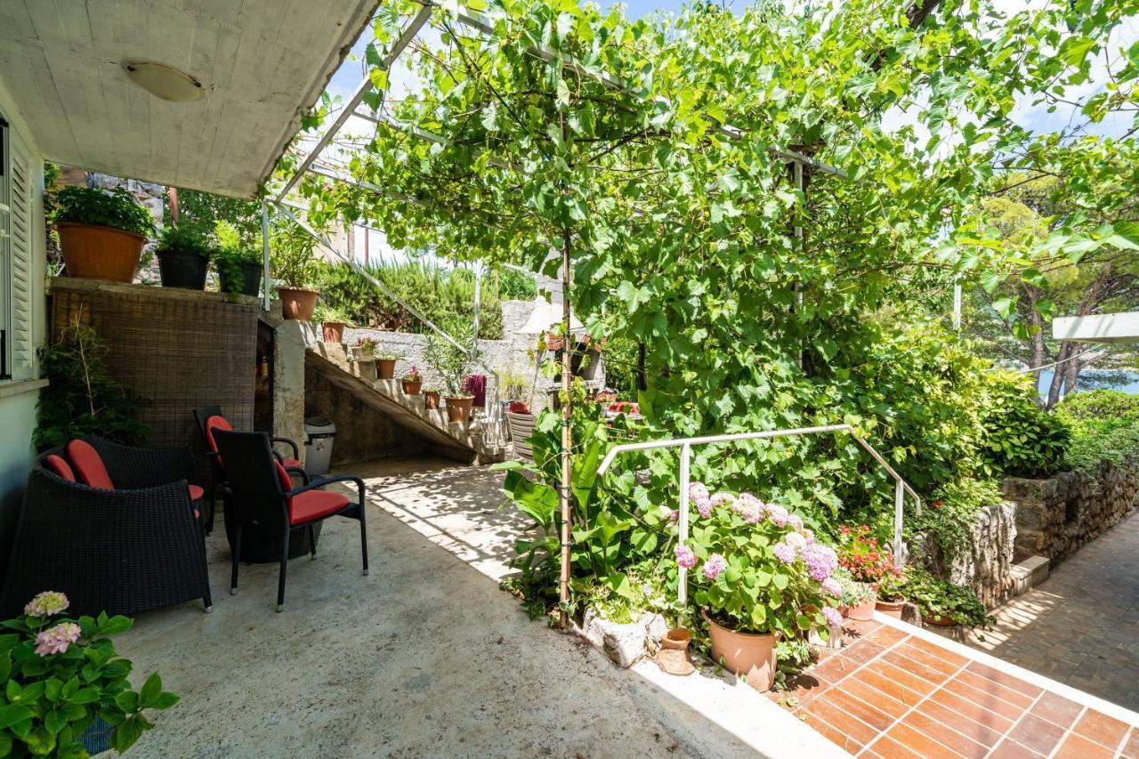 Apartments Zarac Dubrovnik Dış mekan fotoğraf