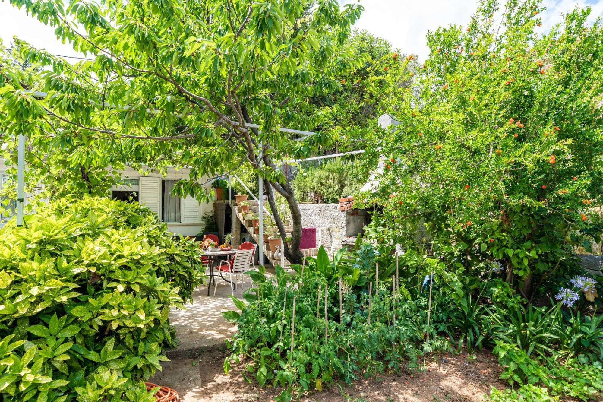 Apartments Zarac Dubrovnik Oda fotoğraf